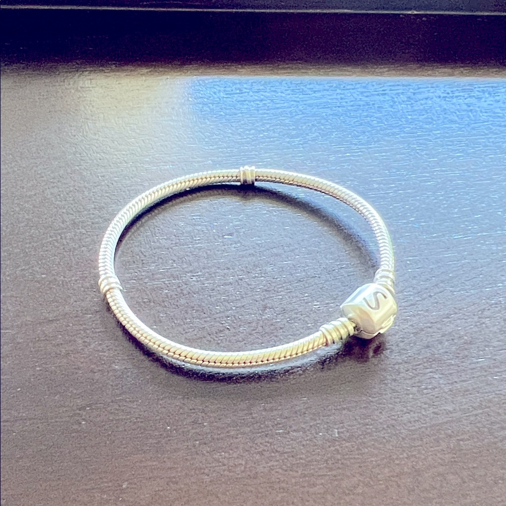 Sterling Silver Pandora style charm bracelet
